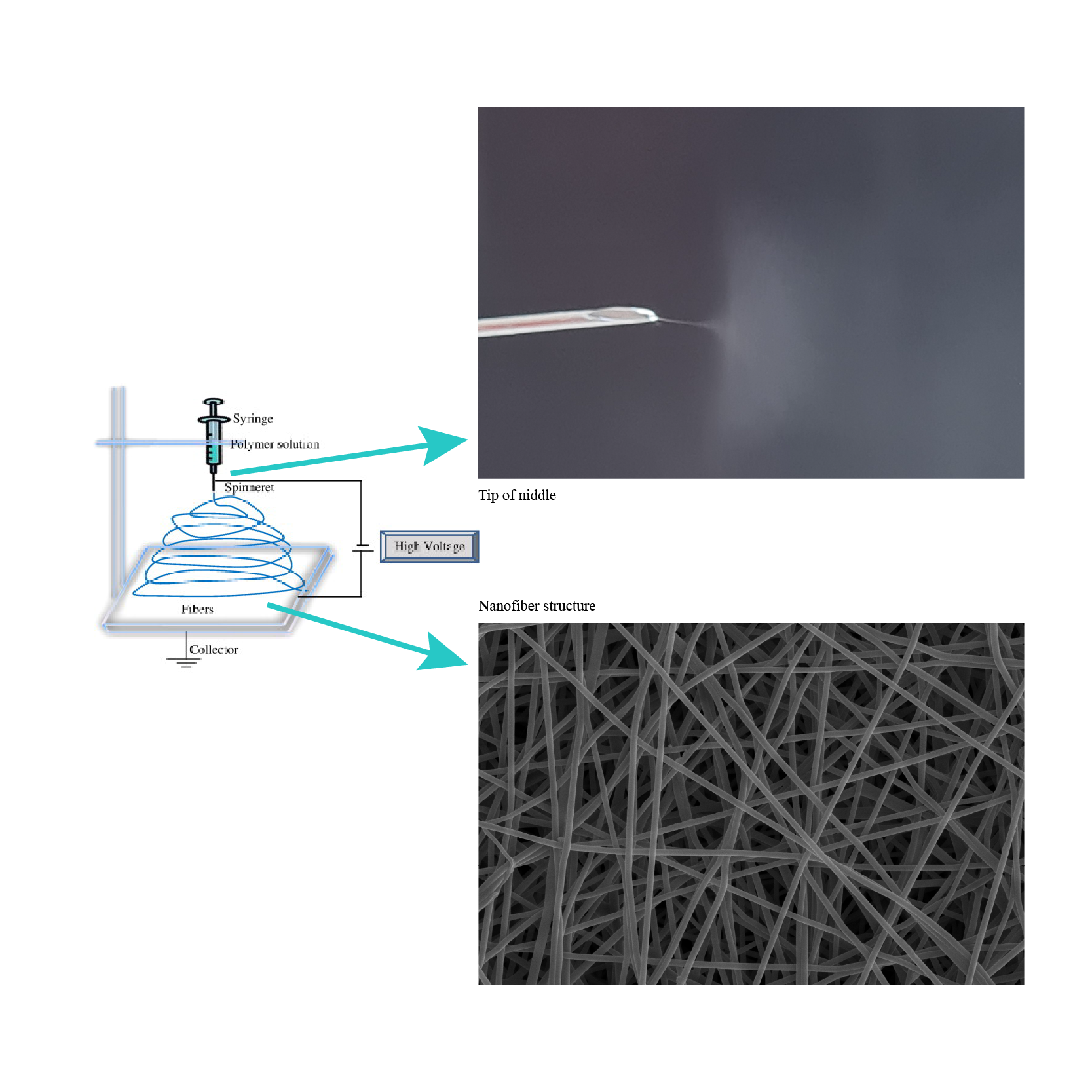Beta Alg-Electrospinning Technology